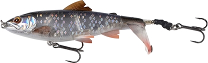 Attēls no Savage Gear 3D SmashTail 10cm 17g F Roach (61993)