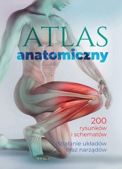 Picture of SBM Atlas anatomiczny