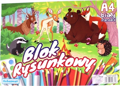 Attēls no SCHEMAT Blok rysunkowy A4/20K 80g biay (10szt)