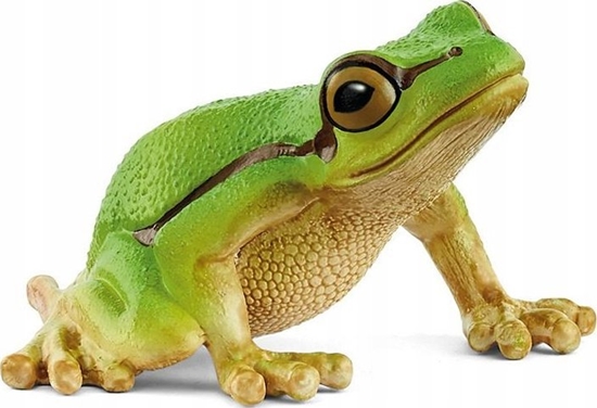 Picture of Figurka Schleich European Tree Frog