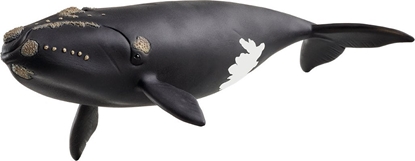 Attēls no Schleich North Atlantic Right Whale