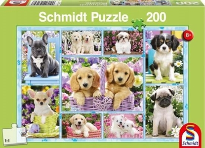 Picture of Schmidt Spiele Puzzle 200 Szczeniaczki