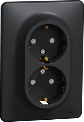 Attēls no Schneider SOCKET 2PL SDD314221 ANTRA