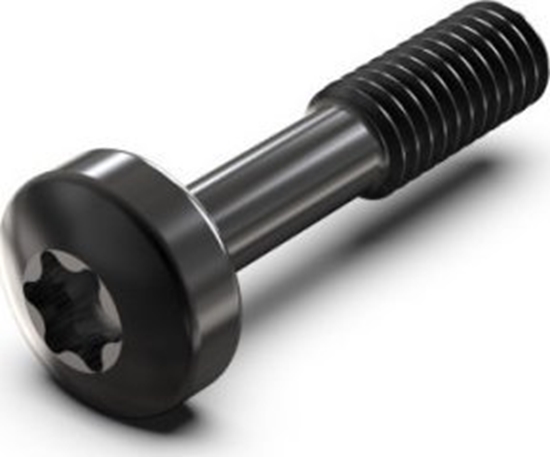 Изображение SCHROFF ruba konierzowa SCHROFF, Torx M2,5 x 12,3 mm, stal czarna, 100 szt.