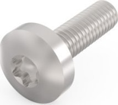 Изображение SCHROFF ruba krzyakowa SCHROFF, Torx, funkcja GND, stal ocynkowana, M4  14 mm, 10 szt.