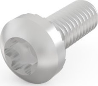 Изображение SCHROFF ruba z bem walcowym SCHROFF, Torx, M4 x 10, 100 szt.