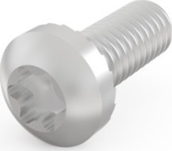 Изображение SCHROFF ruba z bem walcowym SCHROFF, Torx, M4 x 10, 100 szt.