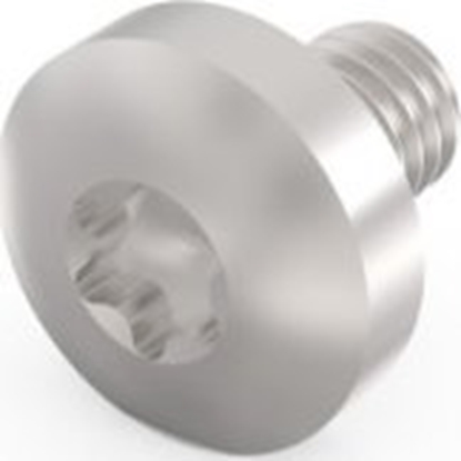 Изображение SCHROFF ruba z bem walcowym SCHROFF, Torx, stal ocynkowana, M4  6 mm, 100 sztuk