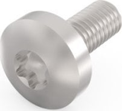 Attēls no SCHROFF SCHROFF ruba z bem walcowym, Torx, funkcja GND, stal ocynkowana, M4  10 mm, 100 szt.