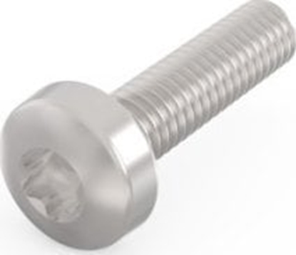 Attēls no SCHROFF SCHROFF ruba z bem walcowym, Torx, stal niklowana, M2,5  10 mm, 100 szt.