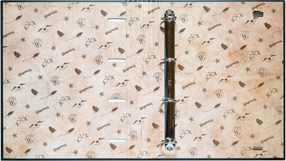 Attēls no Segregator Harry Potter Harry Potter - Segregator A4 (4 ringi, gumka)