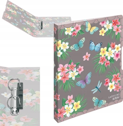 Picture of Segregator Herlitz Herlitz 50044047 segregator A4 Wielobarwny