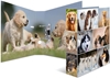 Picture of Herma Ordner A4 Hunde