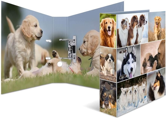 Picture of Segregator Herma dwigniowy A4 70mm  (7165)