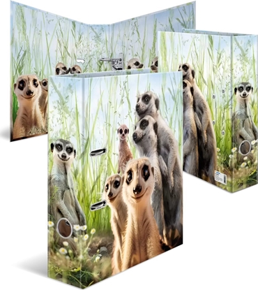 Picture of Segregator Herma HERMA  Ordner A4 Karton Erdmännchen