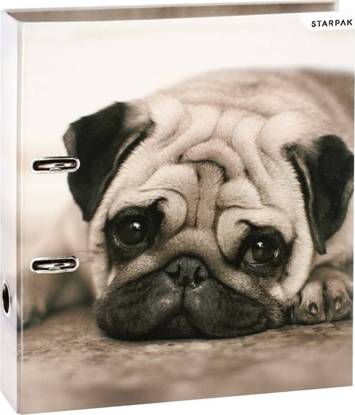 Attēls no Segregator Starpak SEGREGATOR A4/70 PSY STK PUD1/20