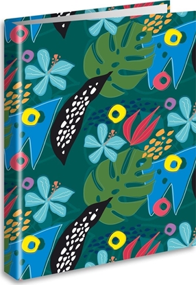 Изображение Segregator Teka Segregator A4/2 dungla PENMATE