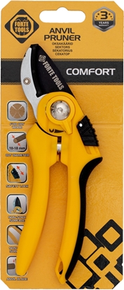 Attēls no Sekator Forte noycowy