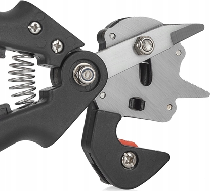 Attēls no Sekator Geko noycowy