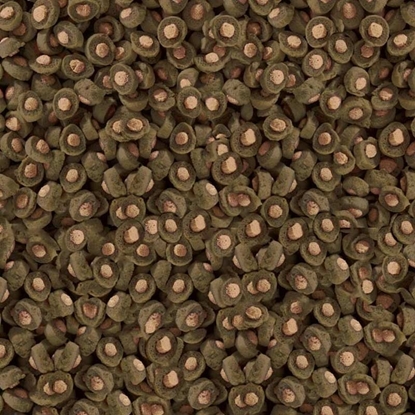 Изображение Sera Koi Professional Spirulina Color Food 1.000 g - pokarm profesjonalny