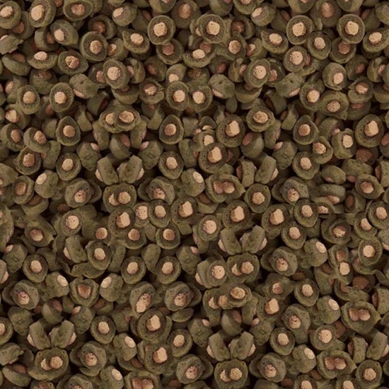 Изображение Sera Koi Professional Spirulina Color Food 1.000 g - pokarm profesjonalny