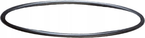 Picture of Sera Uszczelka gowicy filtra do Fil 130, 130 + UV