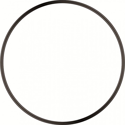 Attēls no Sera Uszczelka O-ring do PS 130