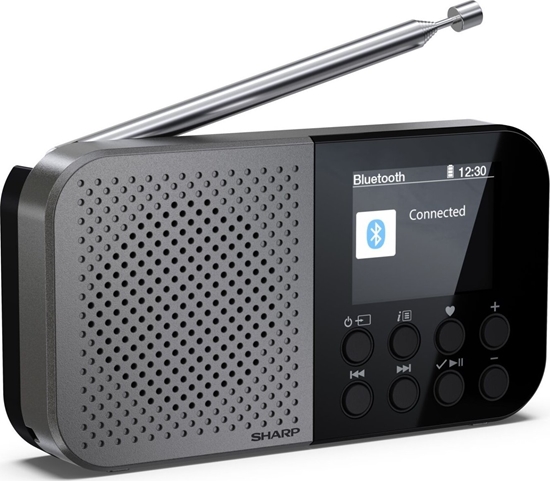 Picture of Sharp DR-P520 DAB+/BT/USB C/integrated Battery radio black