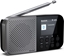 Picture of Sharp DR-P520 DAB+/BT/USB C/integrated Battery radio black