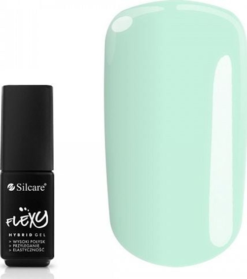 Picture of Silcare Lakier hybrydowy Flexy Hybrid Gel 119 4.5g