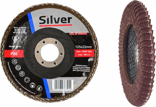 Picture of Silver CIERNICA LISTKOWA SILVER DO SPOIN 125 P 60