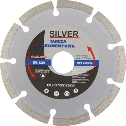 Изображение Silver TARCZA DIAMENTOWA SEGMENTOWA 230 x 22,2 x 7mm EX10204