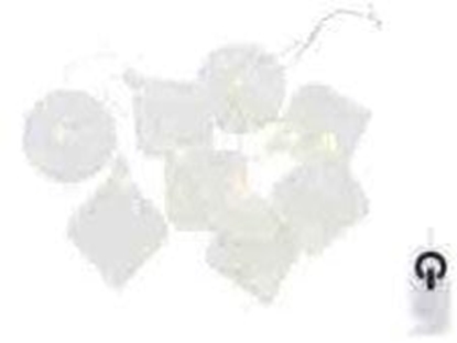 Picture of Sirius Home Nellie, Garland, Glass, Transparent, 1500 m, Boy/Girl, AA