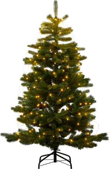 Picture of Sirius Sirius Anni Tree, H1,8m+5m , /234L, green