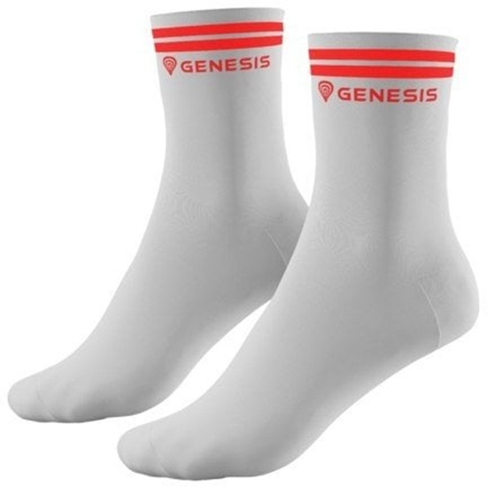 Picture of SKARPETKI SPORTOWE GENESIS 35-38