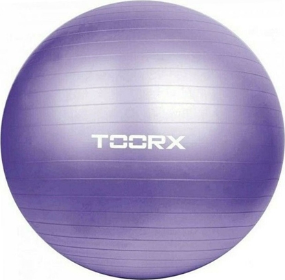 Picture of SKO Toorx Gym ball AHF-013 D75cm with pump