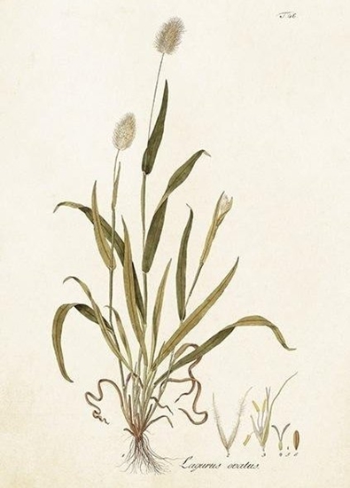 Picture of Skona Ting Karnet ST417 B6 + koperta Dmuszek jajowaty