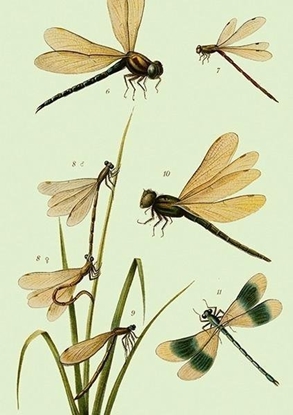 Attēls no Skona Ting Karnet ST435 B6 + koperta Waki