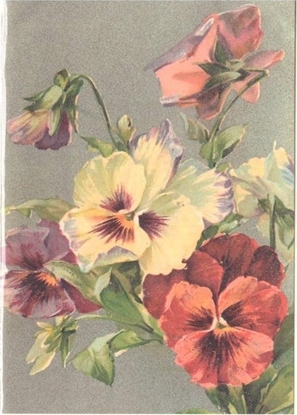 Attēls no Skona Ting Karnet ST441 B6 + koperta Bratki