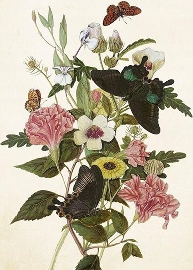 Picture of Skona Ting Karnet ST443 B6 + koperta Bukiet i motyle