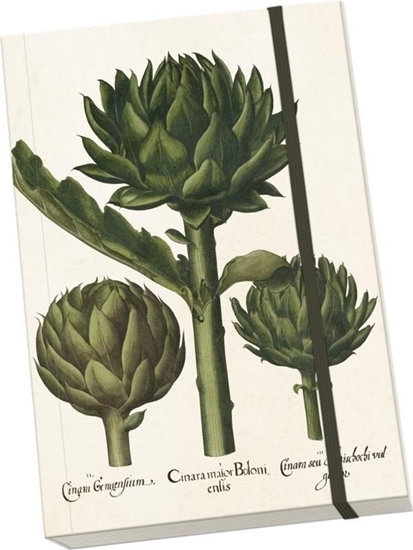 Picture of Skona Ting Notatnik ozdobny A5 STNOTE 86 Karczoch