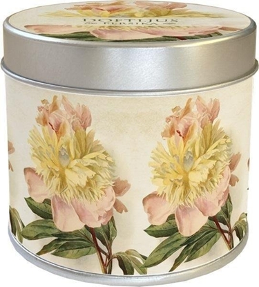 Attēls no Skona Ting Zapachowa wieczka 191 - piwonia - brzoskwiniowa