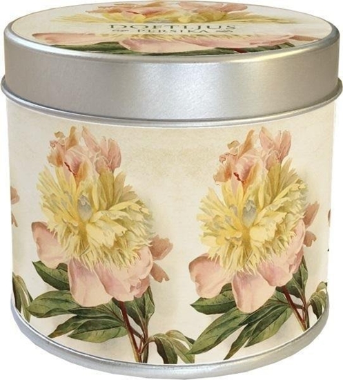 Picture of Skona Ting Zapachowa wieczka 191 - piwonia - brzoskwiniowa