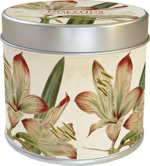 Picture of Skona Ting Zapachowa wieczka 202 - amarylis - zapach jabko