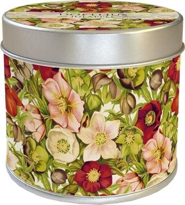 Attēls no Skona Ting Zapachowa wieczka 206 - róe - zapach jabko