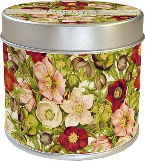 Picture of Skona Ting Zapachowa wieczka 206 - róe - zapach jabko