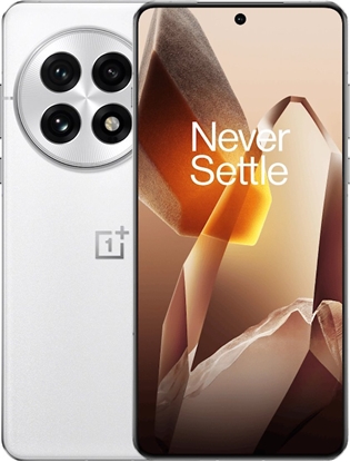 Attēls no Smartfon OnePlus 13 5G 16/512GB Biay  (TKOONESZA0061)