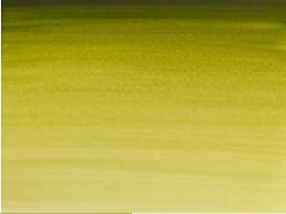 Attēls no SmartMax Watercolour proff. 1/2 pan Olive Green 447