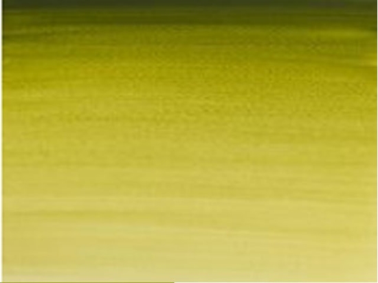 Picture of SmartMax Watercolour proff. 1/2 pan Olive Green 447