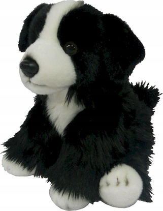 Attēls no Smily Play Maskotka Border Collie 30cm 3+ Smily Play